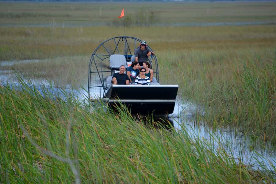 Miami: Everglades River of Grass Small Airboat Wildlife Tour - Boarding a custom boat for six