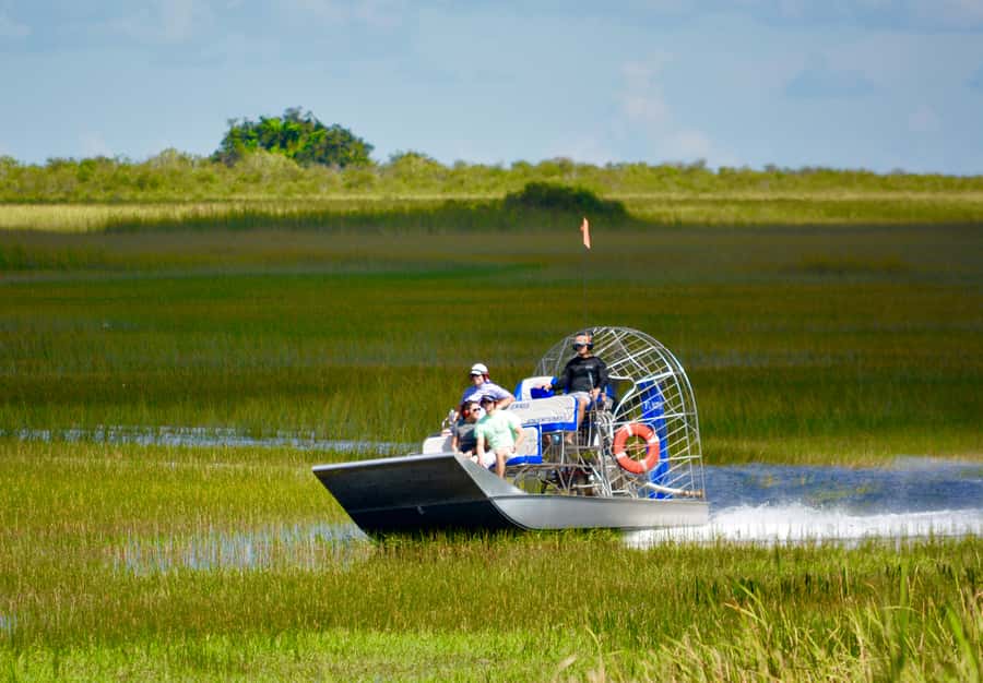 Miami: Everglades River of Grass Small Airboat Wildlife Tour - What two hours gives you