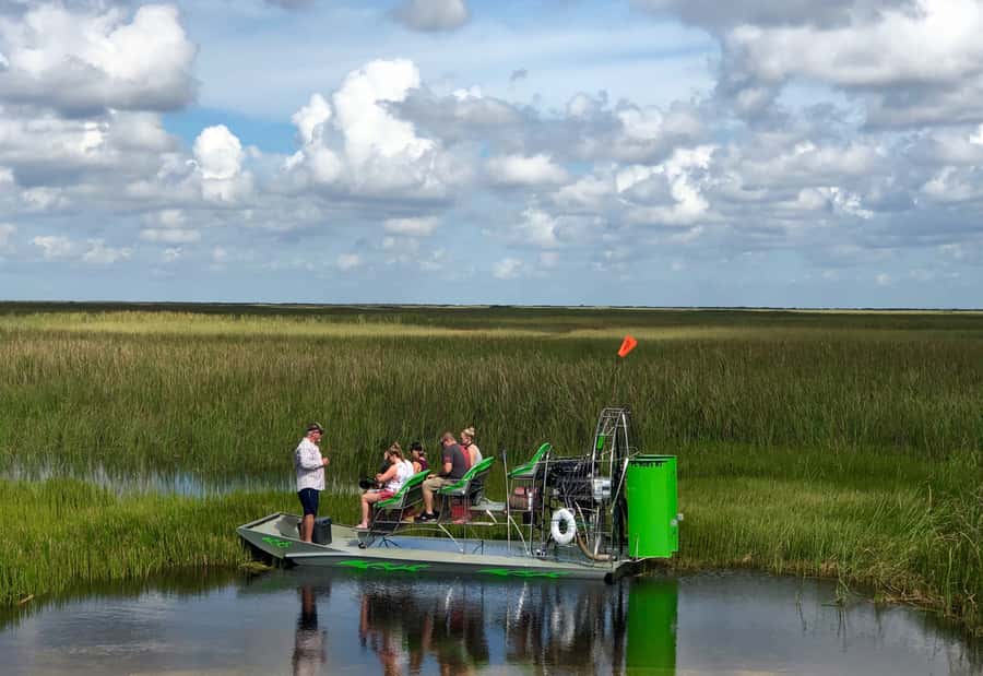 Miami: Everglades River of Grass Small Airboat Wildlife Tour - Weather, clothing, and comfort