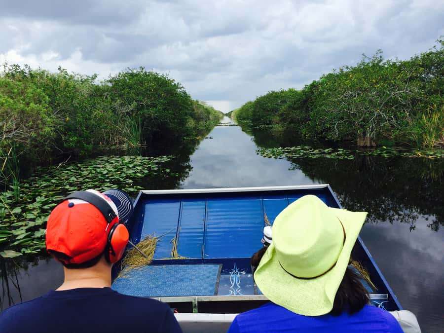 Miami: Everglades River of Grass Small Airboat Wildlife Tour - Is $750 a good value?