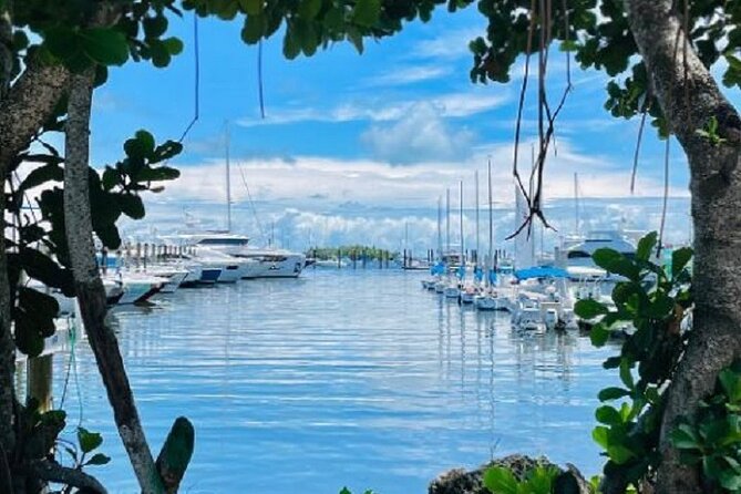 Miami Express Private Boat a 1- Hour Luxury Experience - The Miami skyline from the water