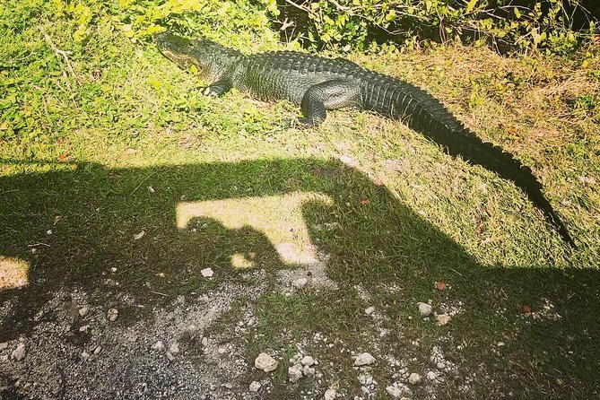 Miami & Florida Everglades Adventure Package - Coconut Grove and the view across Biscayne Bay