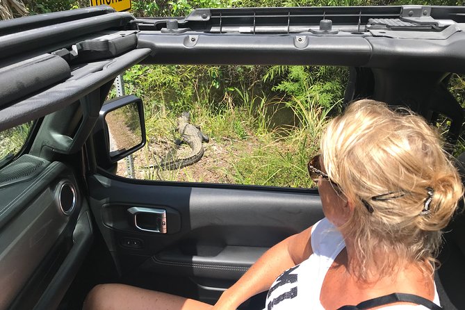 Miami & Florida Everglades Adventure Package - A private guide makes the packed route easier