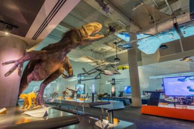 Frost Museum of Science and Planetarium Entry Ticket