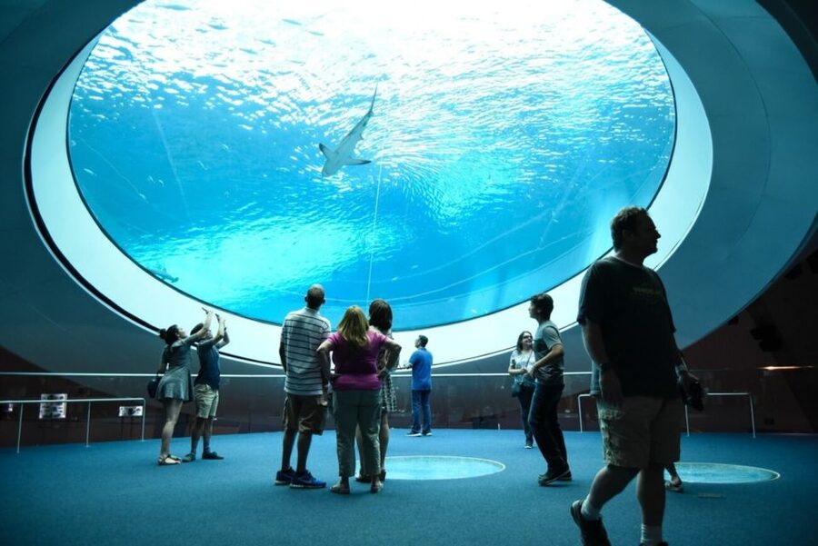 Miami: Frost Museum of Science and Planetarium Entry Ticket - How long the visit takes