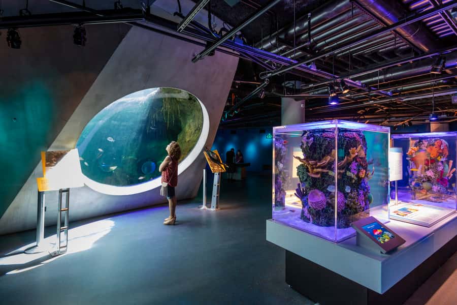 Miami: Frost Museum of Science and Planetarium Entry Ticket - Is the $30 price good value?