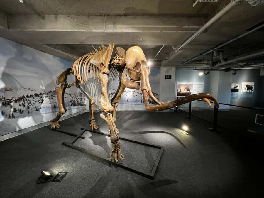 Miami: Frost Museum of Science and Planetarium Entry Ticket - Who will enjoy Frost Science most?