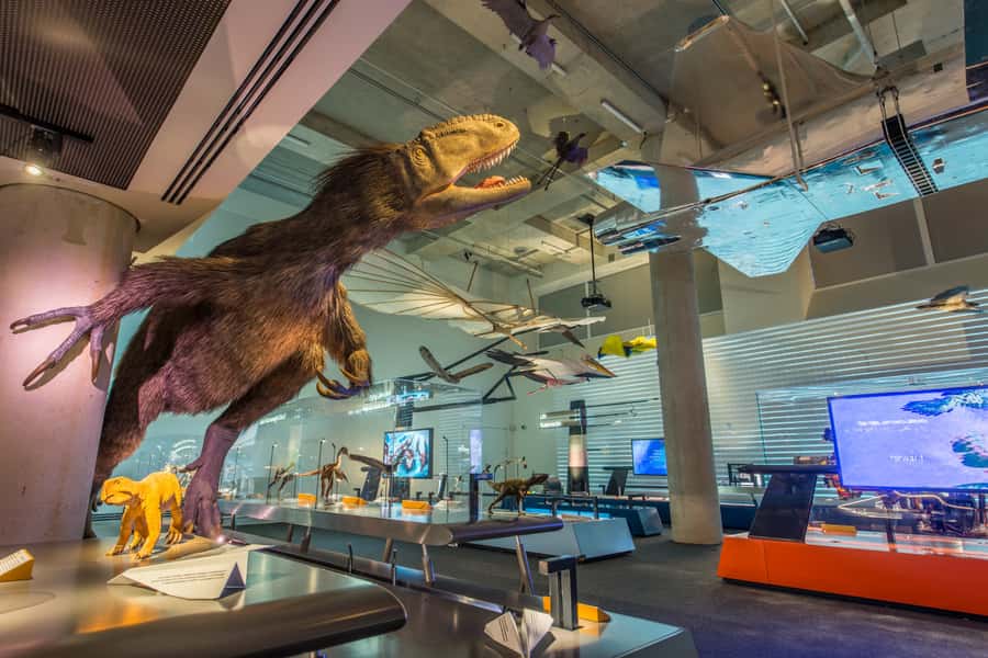 Miami: Frost Museum of Science and Planetarium Entry Ticket - Hands-on exhibits make science easier to grasp