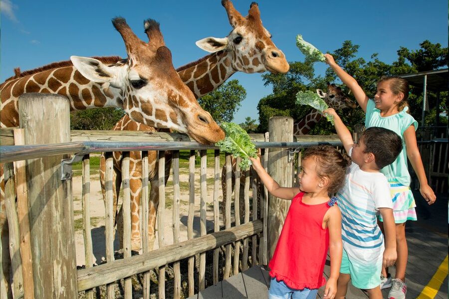 Miami: Go City All-Inclusive Pass with 30+ Attractions - Reservations, timing, and small mistakes to avoid