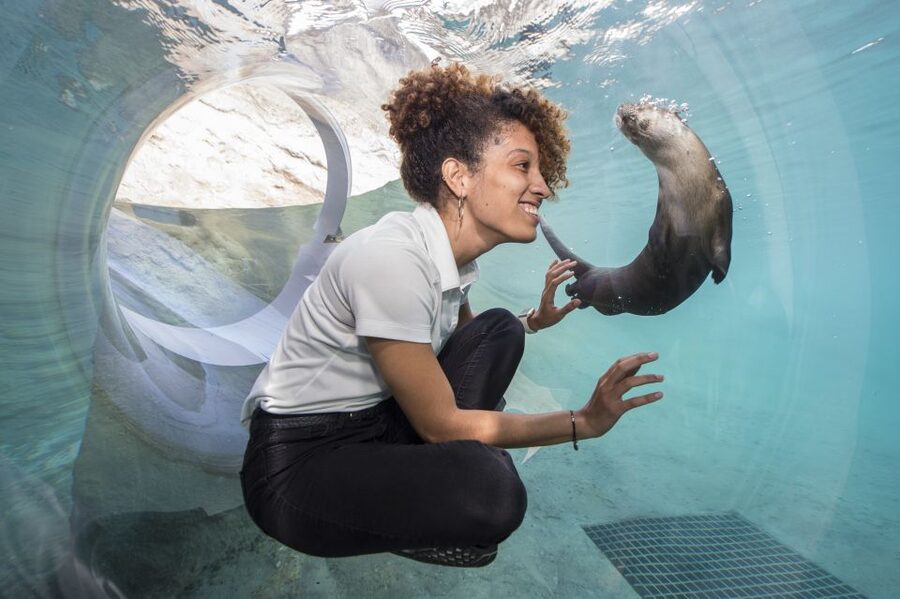 Miami: Go City Explorer Pass - Choose 2 to 5 Attractions - How the Miami Explorer Pass works over 30 days