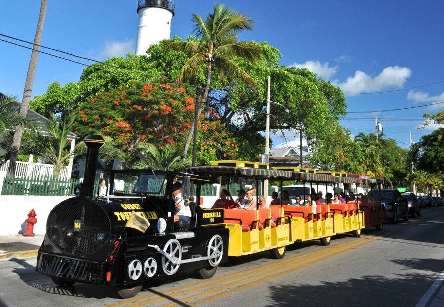 Miami: Go City Explorer Pass - Choose 2 to 5 Attractions - Lion Country Safari and the animal-focused choices