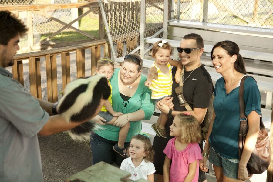 Miami: Go City Explorer Pass - Choose 2 to 5 Attractions - Art, puzzles, and a night of salsa