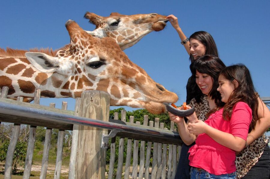 Miami: Go City Explorer Pass - Choose 2 to 5 Attractions - Fort Lauderdale and Key West choices