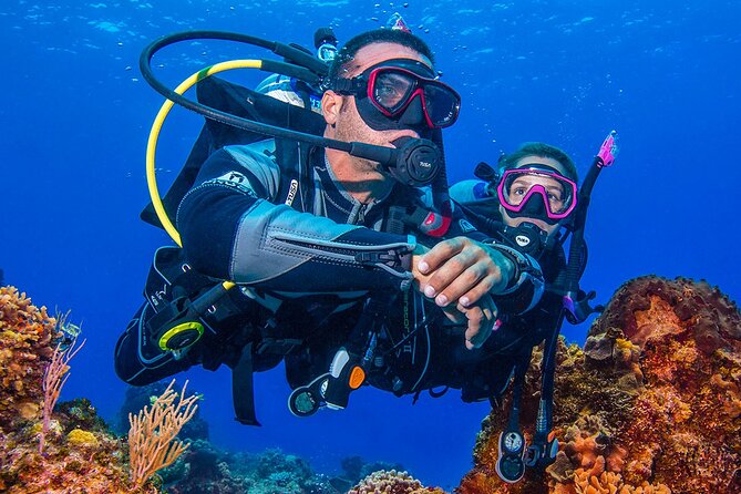 Miami Guided 2-Tank Scuba Diving: South Florida’s Reefs & Wrecks - What the 7:15 a.m. start means