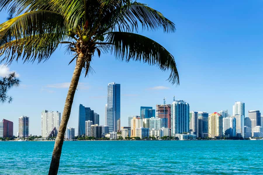 Miami: Guided City Tour and Boat Ride - Downtown Miami and the city skyline