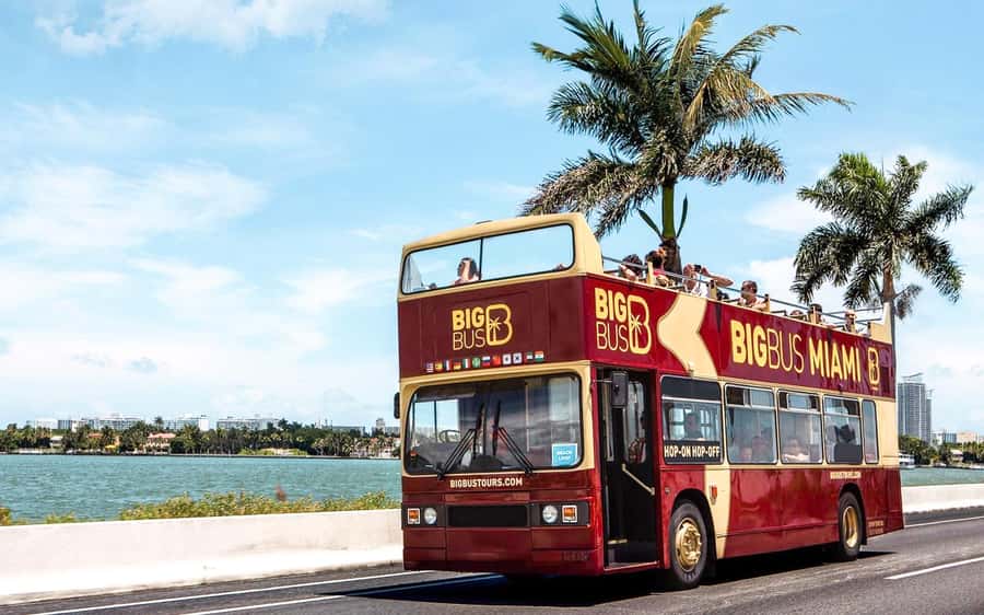 Miami: Hop-on Hop-off Open-top Bus Tour and Optional Cruise - Little Havana brings the strongest local flavor