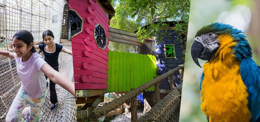 Miami: Jungle Island General Admission - Key Points Before You Go