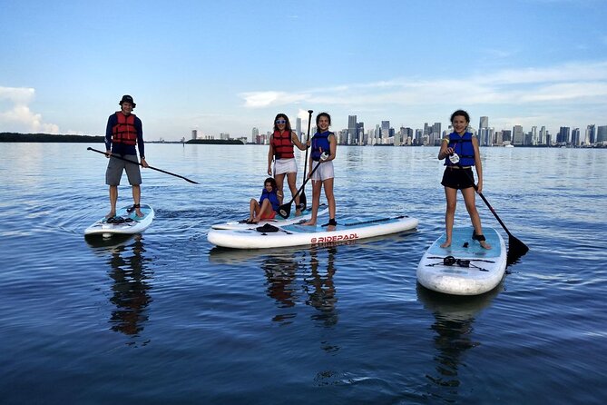 Miami Kayak and Paddleboard Rentals in Virginia Key - A Quieter Hour on Miami’s Virginia Key