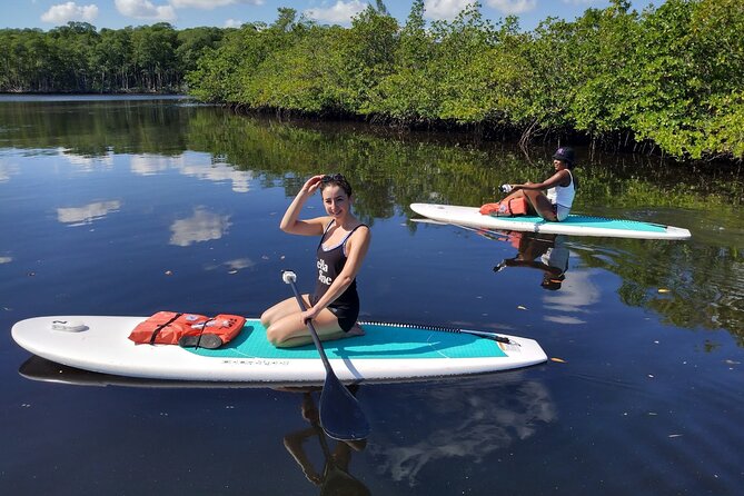 Miami Kayak and Paddleboard Rentals in Virginia Key - Choosing a Paddleboard or Kayak