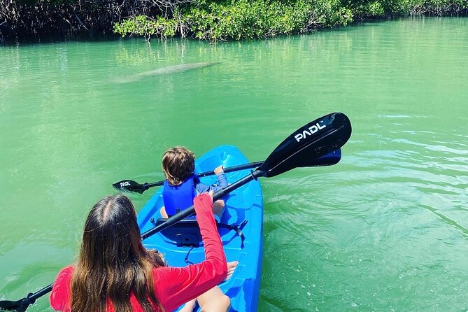 Miami Kayak and Paddleboard Rentals in Virginia Key - What the $25 Price Buys You