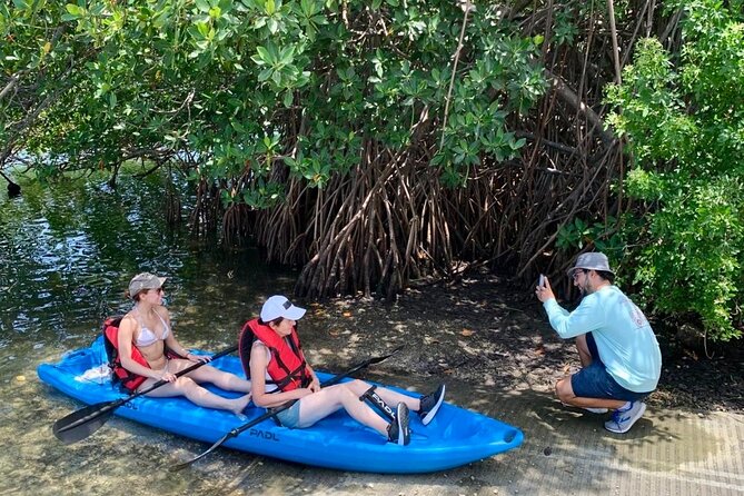 Miami Kayak and Paddleboard Rentals in Virginia Key - Booking, Weather, and Timing Tips