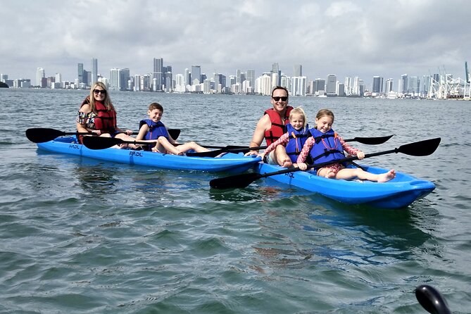 Miami Kayak and Paddleboard Rentals in Virginia Key - Wildlife to Watch For