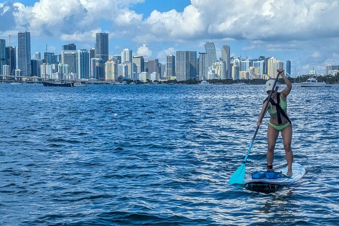 Miami Kayak and Paddleboard Rentals on Biscayne Bay - What the staff add to the experience