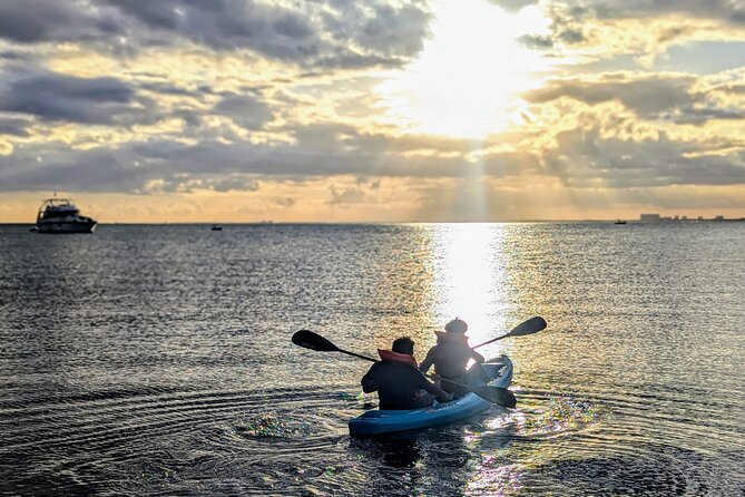Miami Kayak and Paddleboard Rentals on Biscayne Bay - How much value do you get for $25?