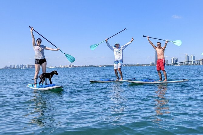 Miami Kayak and Paddleboard Rentals on Biscayne Bay - Weather, cancellations, and timing