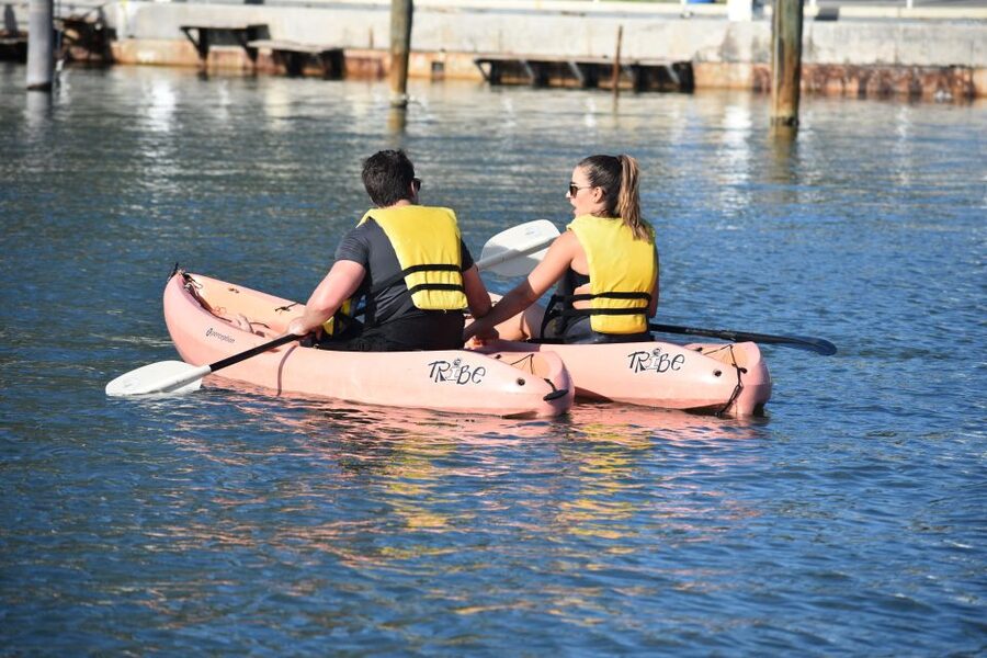 Miami: Kayak or Paddleboard Rental - Should you book this kayak or paddleboard rental?