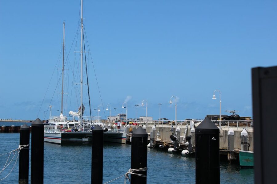 Miami: Key West Boat Tour w/ Optional Snorkeling & Open Bar - What you may see beneath the surface