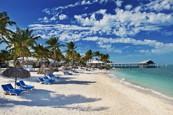 MIAMI: Key West Day Trip with Snorkel or Glassbottom Boat - Seeing the reef from a glass-bottom boat