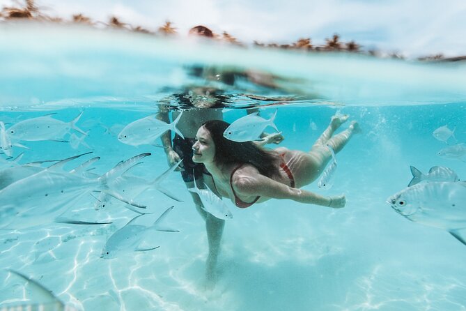 MIAMI: Key West Day Trip with Snorkel or Glassbottom Boat - What the $144 price really covers