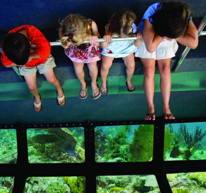 Miami: Key West Dolphin Watch or Snorkel Boat with pickup - FAQ