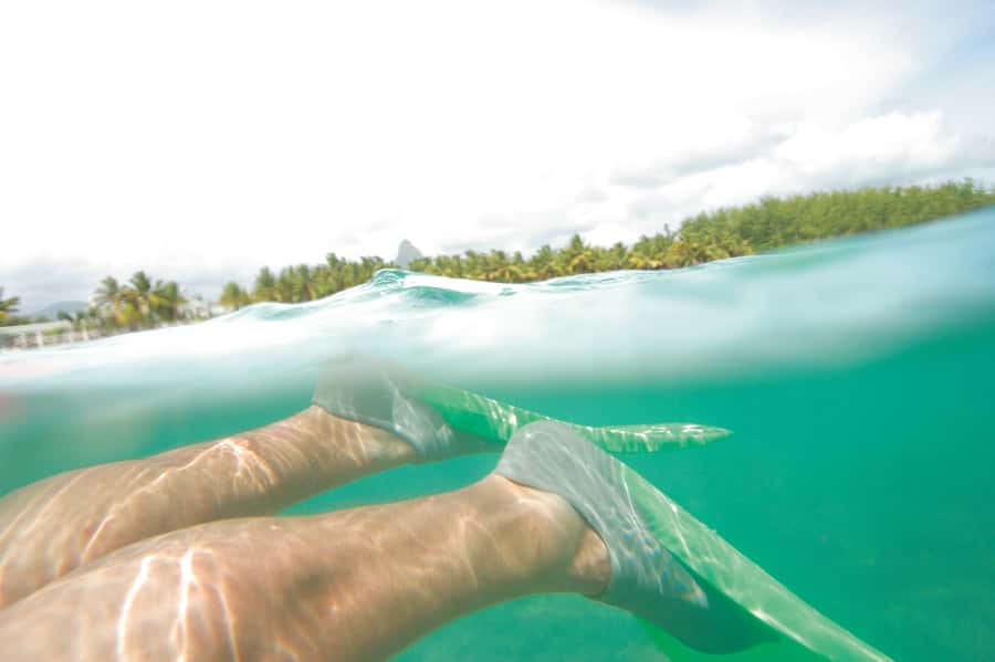 Miami: Key West Dolphin Watch or Snorkel Boat with pickup - A calmer view from the glass-bottom boat