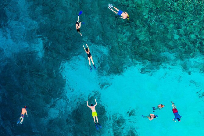MIAMI: Key West Dolphin Watch Tour - Who will enjoy this day trip most