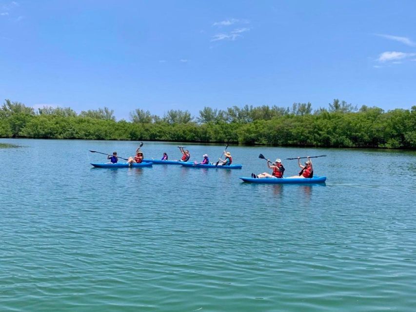 Miami: Manatee Season Paddleboard or Kayak Tour - Key points to know before booking