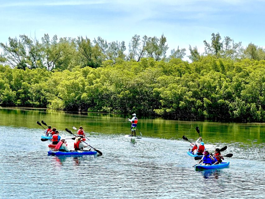 Miami: Manatee Season Paddleboard or Kayak Tour - Kayak or paddleboard?