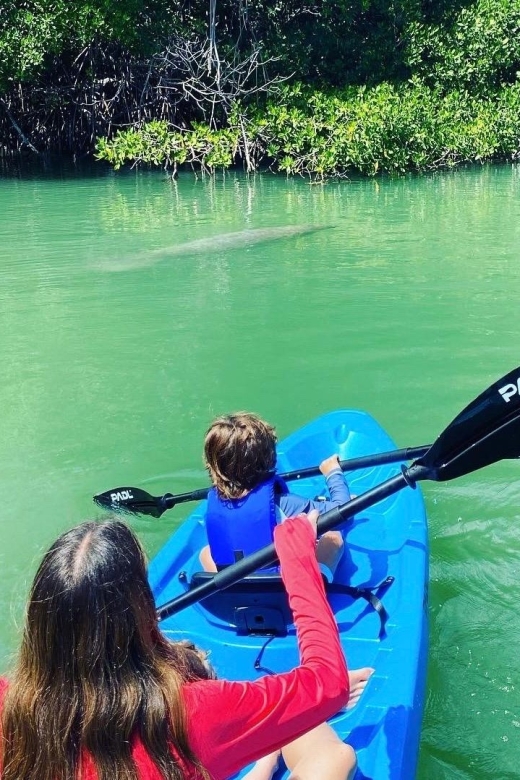 Miami: Manatee Season Paddleboard or Kayak Tour - Guides, photos, and the human side of the trip