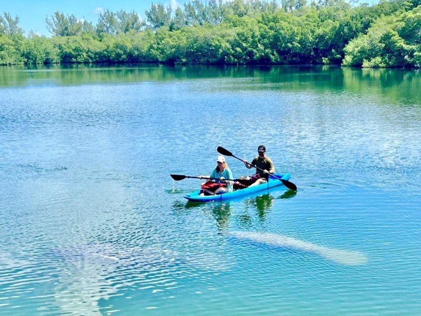 Miami: Manatee Season Paddleboard or Kayak Tour - What to bring and how to prepare