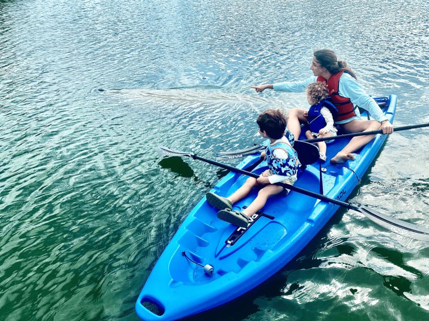 Miami: Manatee Season Paddleboard or Kayak Tour - Starting at 3801 Arthur Lamb Jr Road