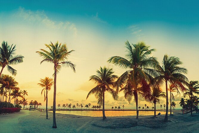 Miami: Open-top Bus Sightseeing Night Tour with Live Guide - Why a night bus is a smart way to see Miami
