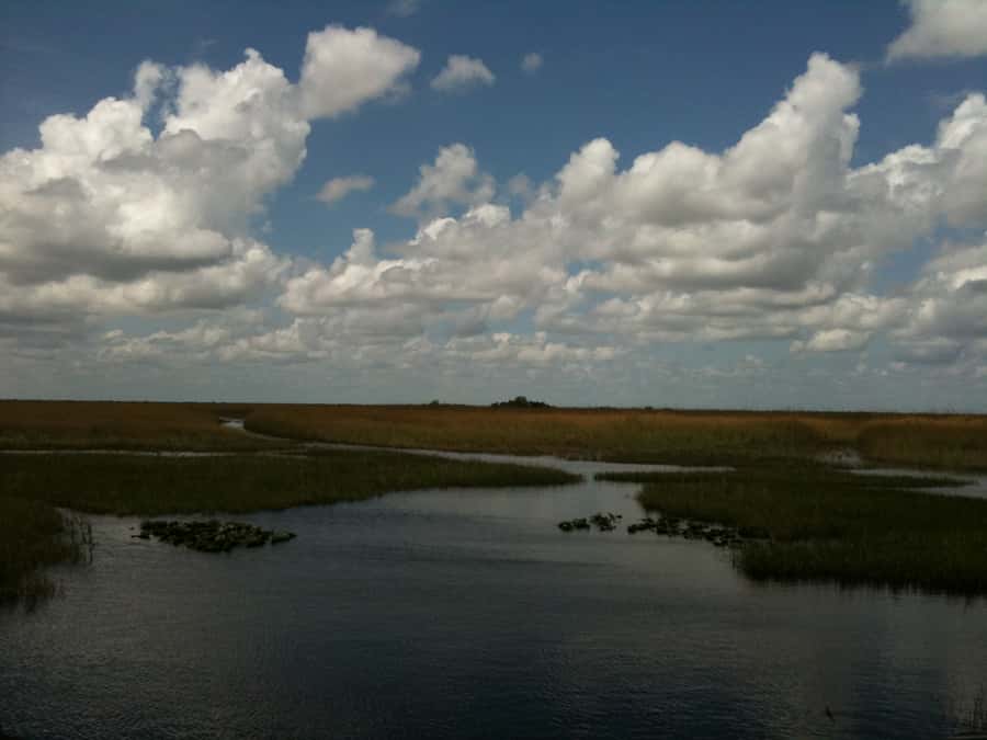 Miami: Original Everglades Airboat Tour & Interpretive area - A classic Everglades stop since 1945
