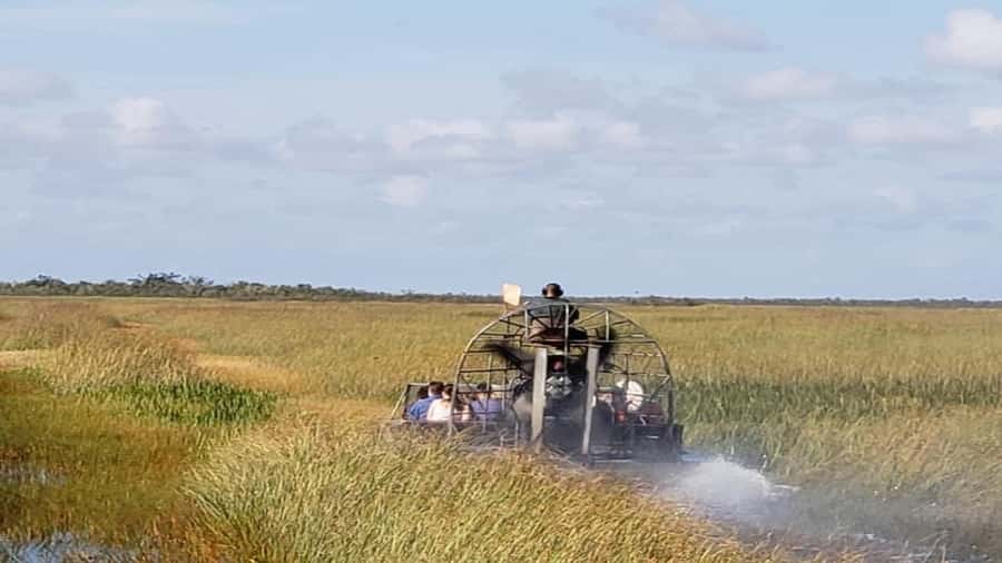 Miami: Original Everglades Airboat Tour & Interpretive area - The animal show before the boat