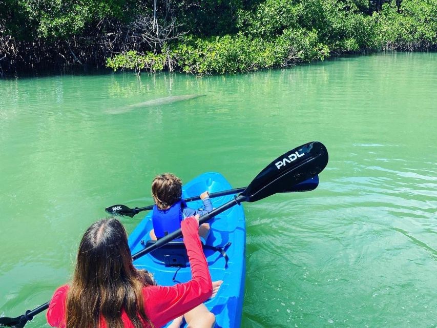 Miami: Paddle Board or Kayak Rental in Virginia Key - A quiet paddle with Miami in the distance