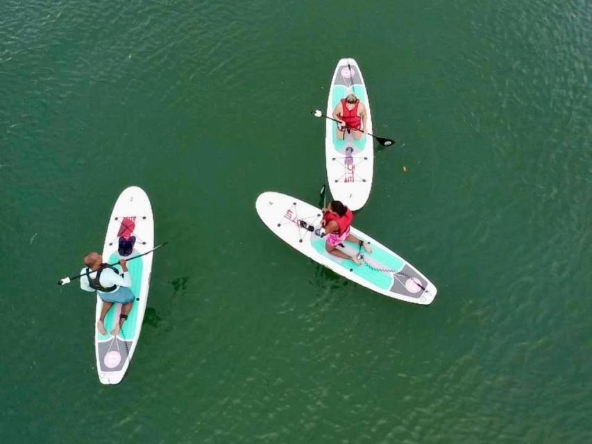 Miami: Paddle Board or Kayak Rental in Virginia Key - Choosing between a paddle board and kayak