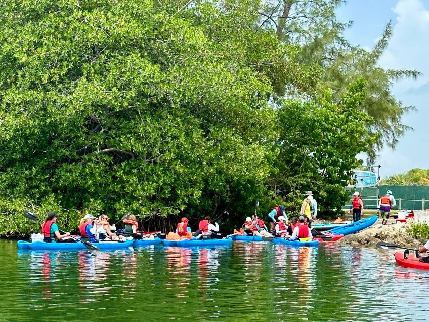 Miami: Paddle Board or Kayak Rental in Virginia Key - Wildlife by season