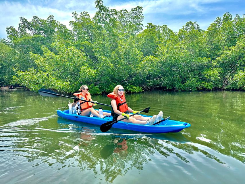 Miami: Paddle Board or Kayak Rental in Virginia Key - Is one hour enough for $26?