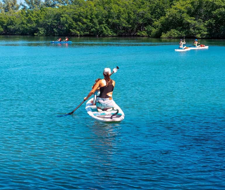 Miami: Paddle Board or Kayak Rental - PADL Beach Club - Starting at PADL Beach Club