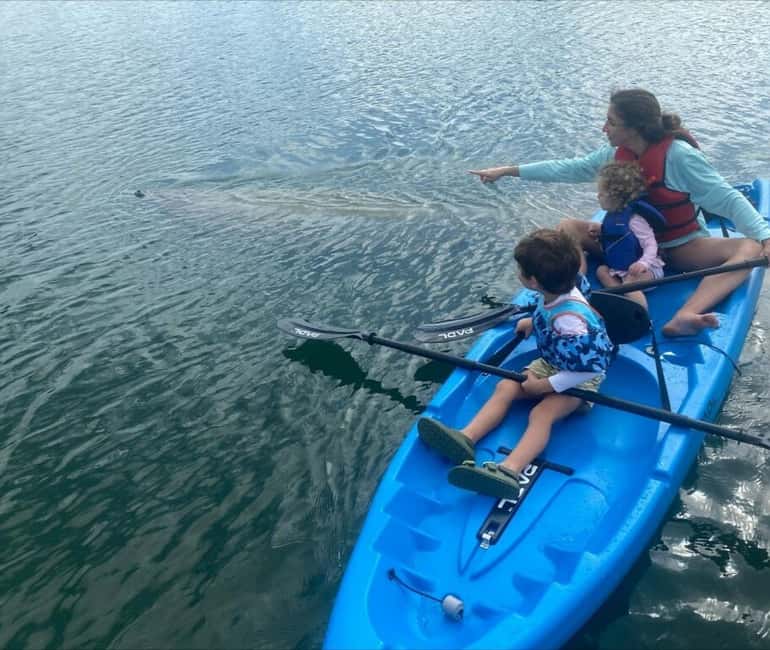 Miami: Paddle Board or Kayak Rental - PADL Beach Club - Wildlife from November through April